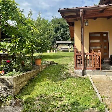 Вілла Casa Darul Bunicii Бряза Екстер'єр фото