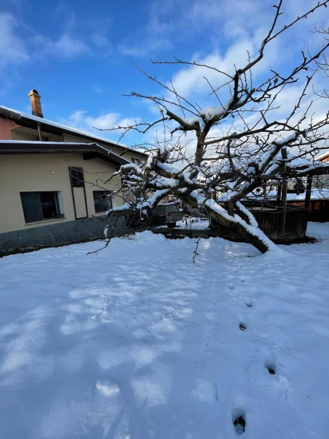Вілла Casa Darul Bunicii Бряза Екстер'єр фото